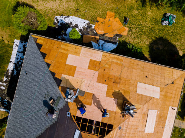 Best Roof Maintenance Services  in Stockdale, TX